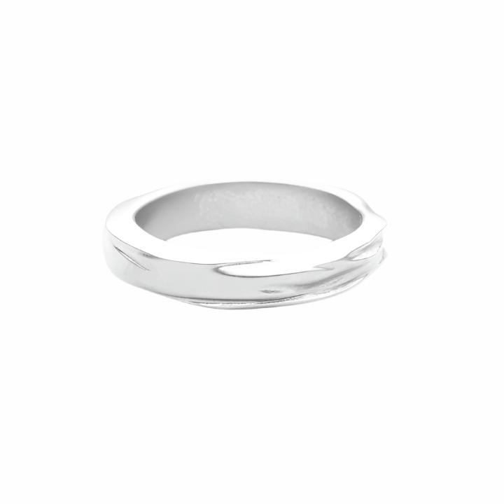 Thick Ring Ring Skultuna large Matte Steel 