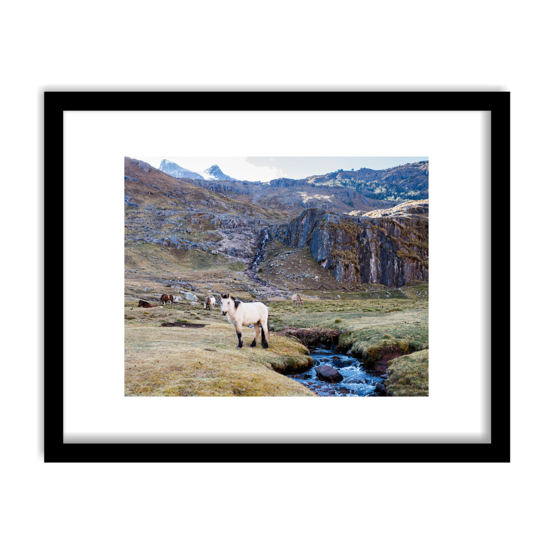 "Andean Horses" Framed Print Art Print Lindsay Upson Photography 11" x 14" Framed Black 