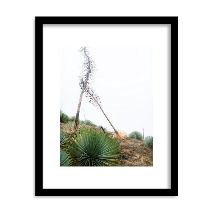 "Off the Beaten Path" Framed Print Art Print Lindsay Upson Photography 11" x 14" Framed Black 