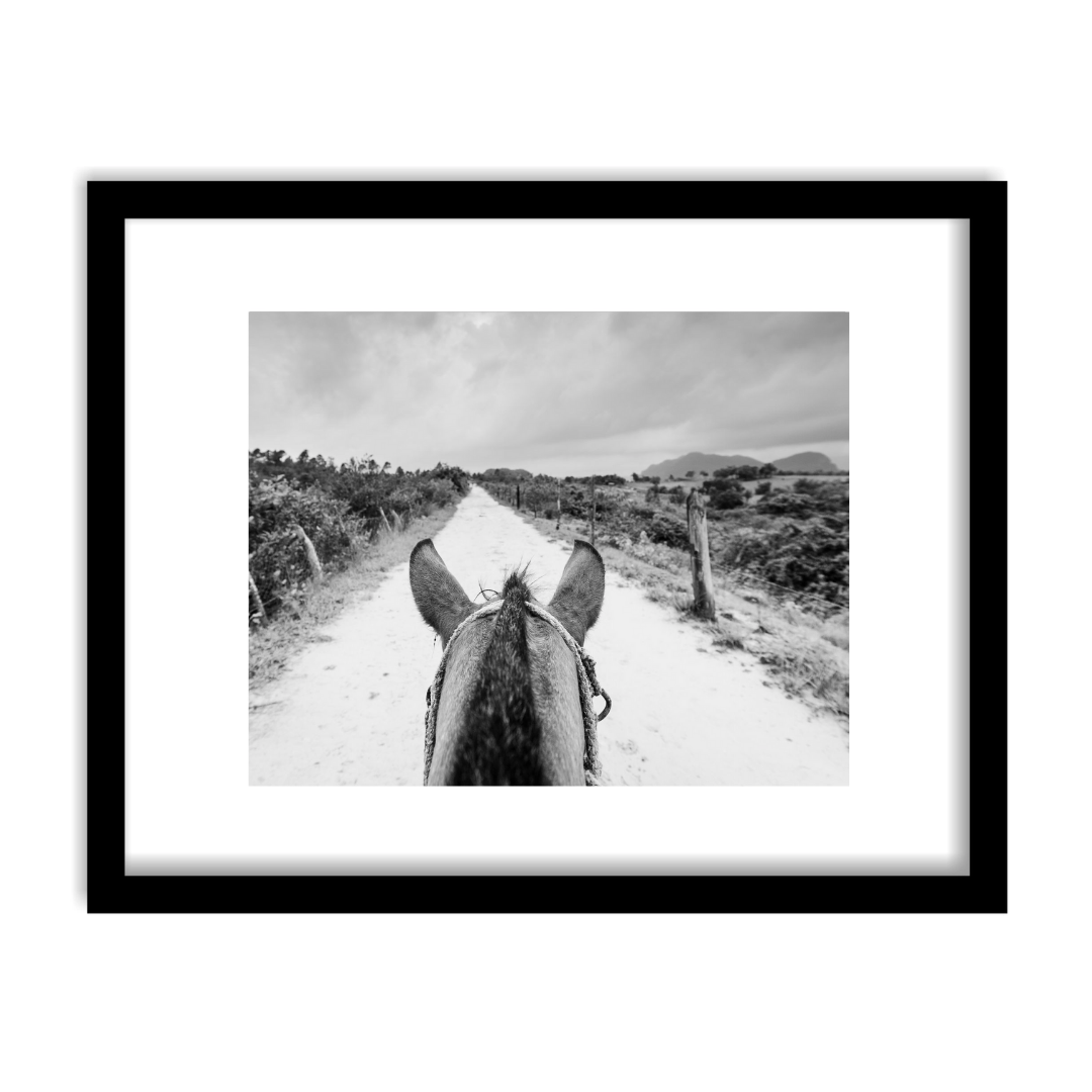 "Horseback, Viñales Cuba" Framed Print Art Print Lindsay Upson Photography 11" x 14" Framed Black 