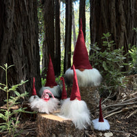 Classic Tomte 10" Gnome Asas Tomtebod   