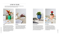 Decorating with Plants Book Book Baylor Chapman   