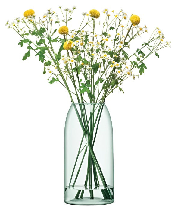 Canopy Clear Vase Vase LSA International   