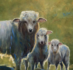 Cropped 3 Sheep Artwork Art Print Art by Leah   