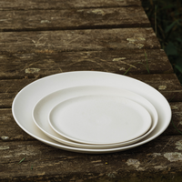 Stone by Tone Plate Dinnerware Stone by Tone   