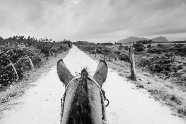 "Horseback, Viñales Cuba" Framed Print Art Print Lindsay Upson Photography   